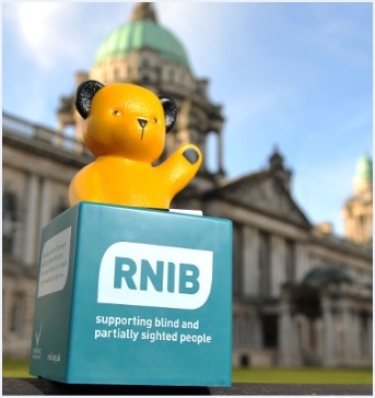 Rnib Box@2X